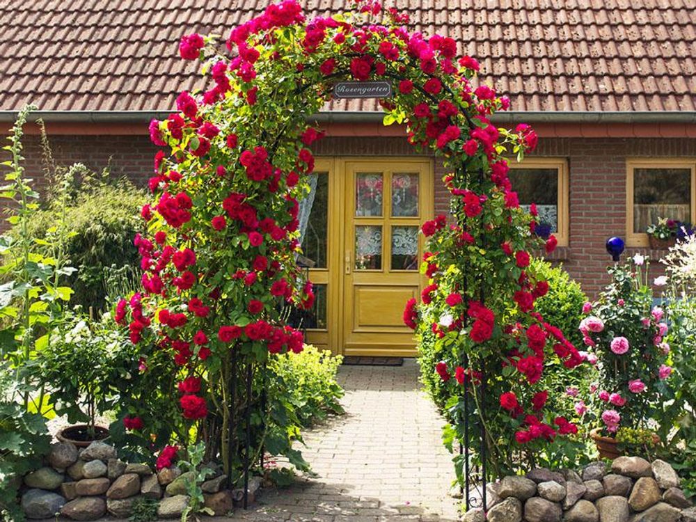 Forever Speed 2er Rosenbogen 240x140x38cm Metall Pergola Rankhilfe Rankgitter Torbogen /Schwarz