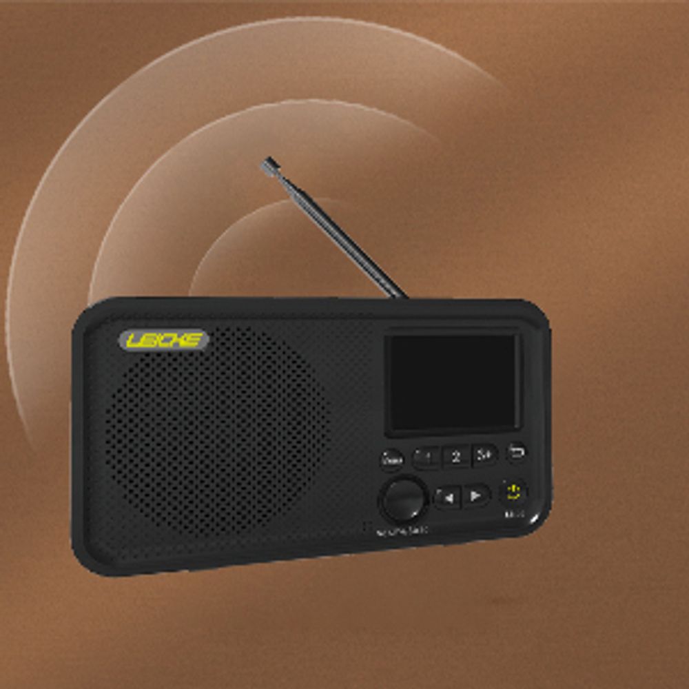 LEICKE tragbares DAB+ Radio mit Bluetooth 5.0 |UKW Radio, 2,4" Farbdisplay, 80 Voreinstellungen, Küchenradio mit Adapter und 4000mAh Akku, MicroSD/TF.