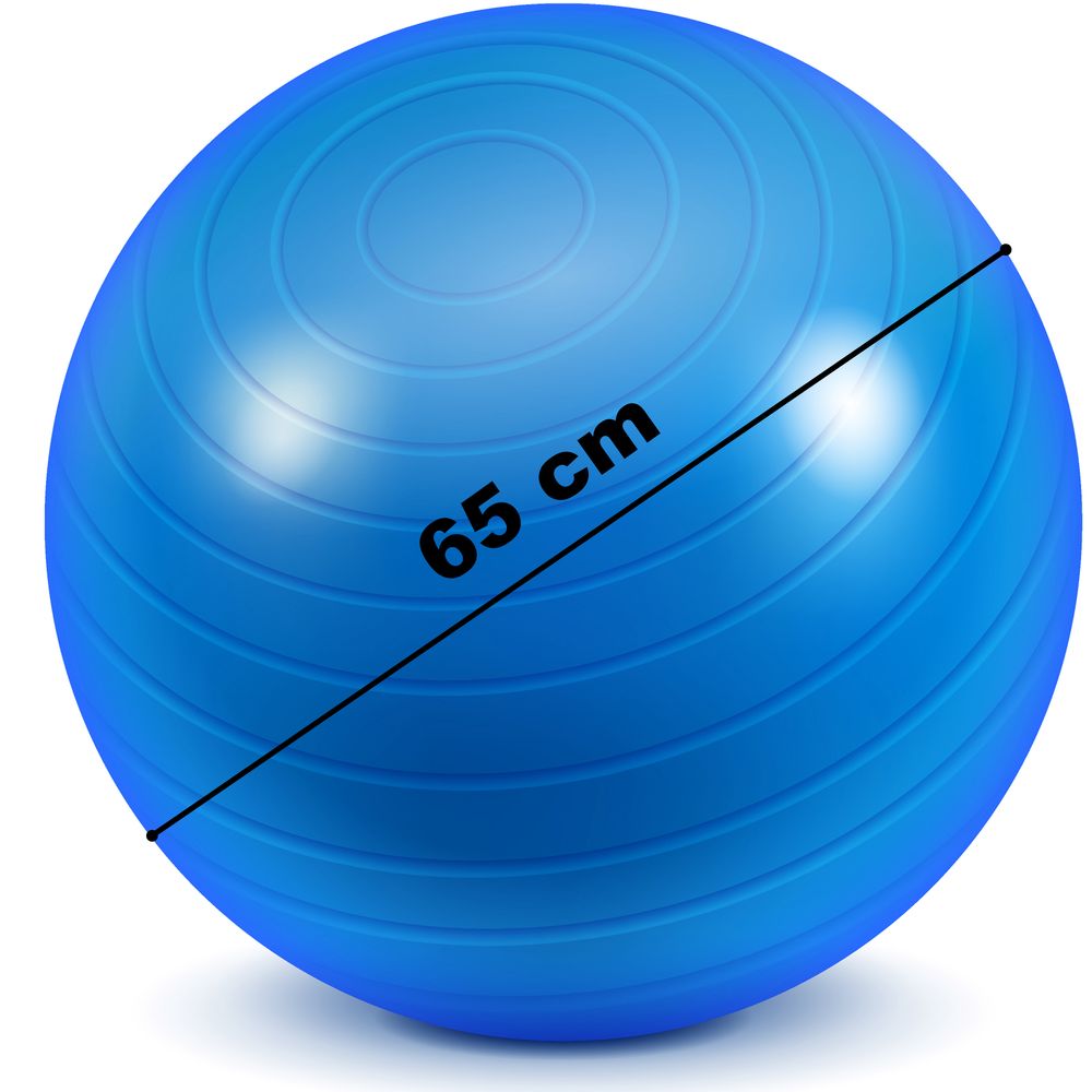 Gymnastikball 65cm mit Pumpe Pilates Ball Pilatesball Yogaball Yoga Fitnessball Sitzball Sportball Balance Belastbar Bürostuhl Bis 300kg Blau Retoo