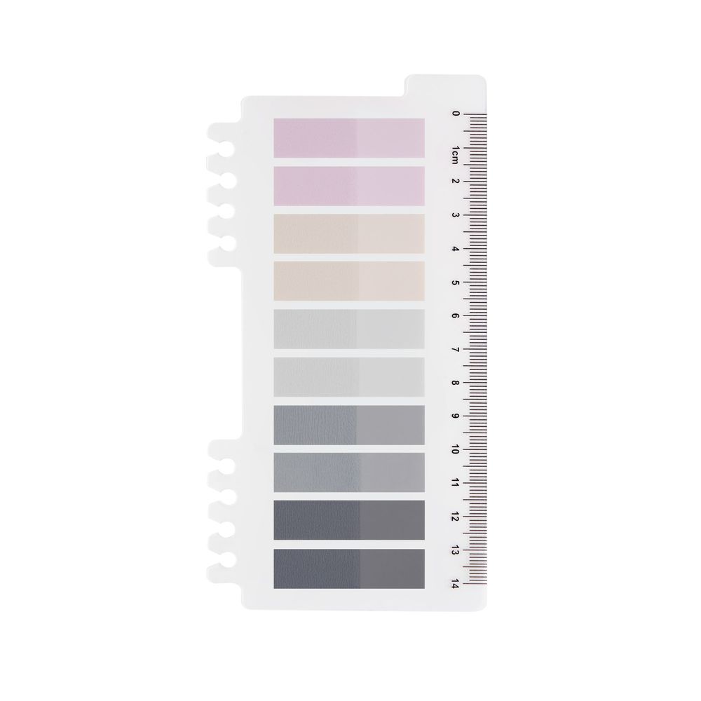 Ordinate Winter's Frost 200 Stück Haftnotizen Tabs, Gray Stile Pagemarker Selbstklebend Pastell Beschreibbare Haftstreifen Klebezettel mit Lineal