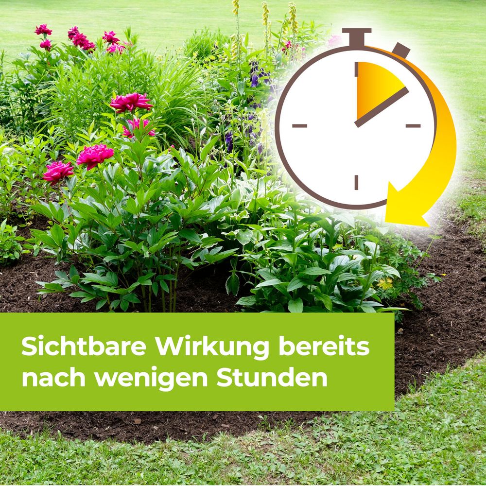 Protect Garden Permaclean Duo Unkraut & Wurzel-Ex 1 l