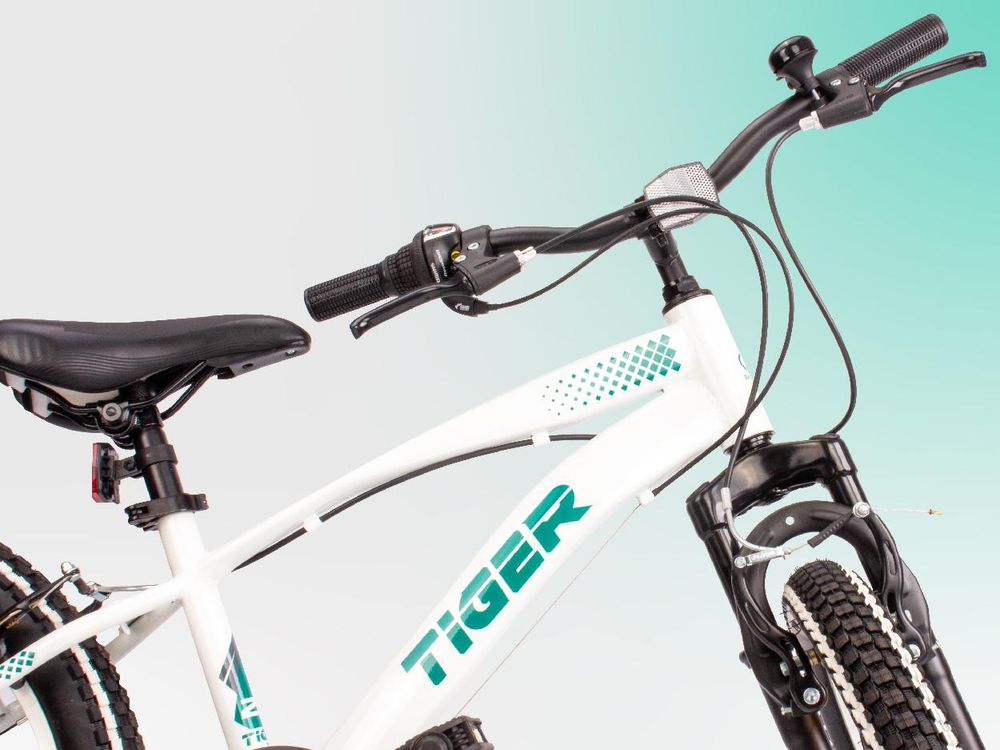 Bicicletta per ragazzi Bicicletta per ragazzi da 6 anni 20 pollici Bicicletta per ragazzi a 6 velocità Shimano RevoShift Tiger Bike bianco