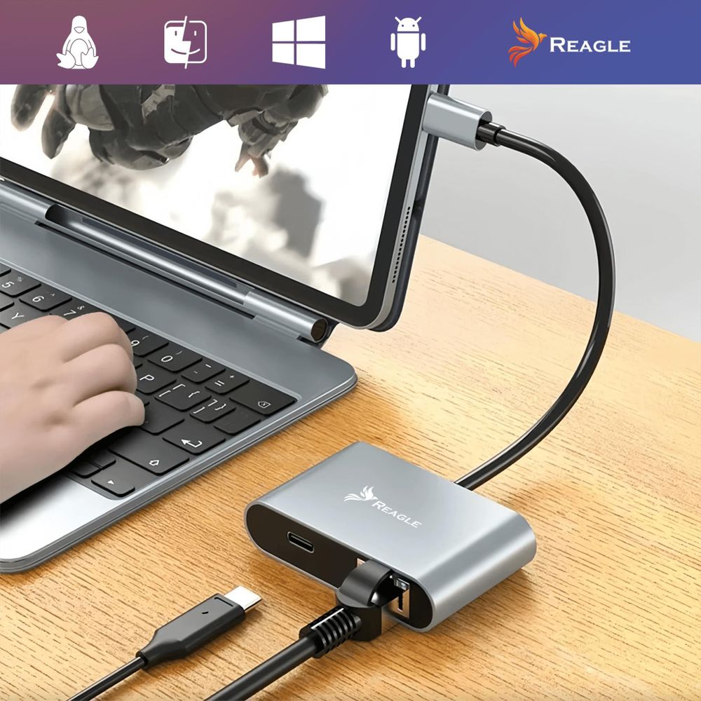 Adapter Usb-C Ethernet Adapter Netzwerkkarte Usb Lan Rj45 2.5G Pd100W Reagle