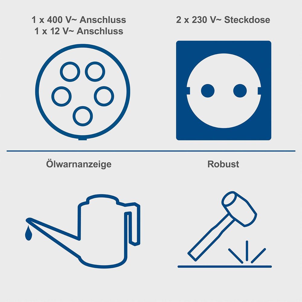 Das Bild zeigt die Keyfacts des Stromerzeugers.