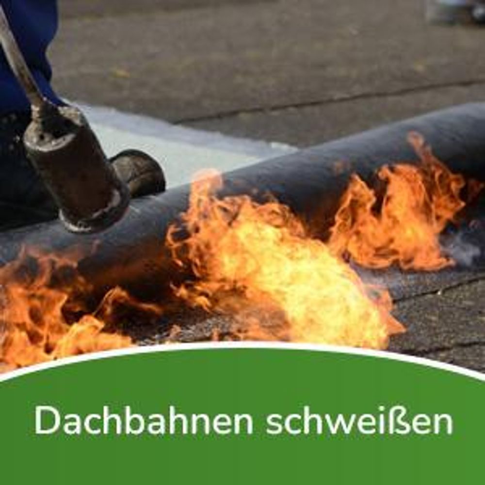 Fepro® Gasbrenner Abflammgerät 58kW mit 4,5m Schlauch & Druckminderer – Unkrautvernichter, Anzünder, Bitumenbahnen Schweißen