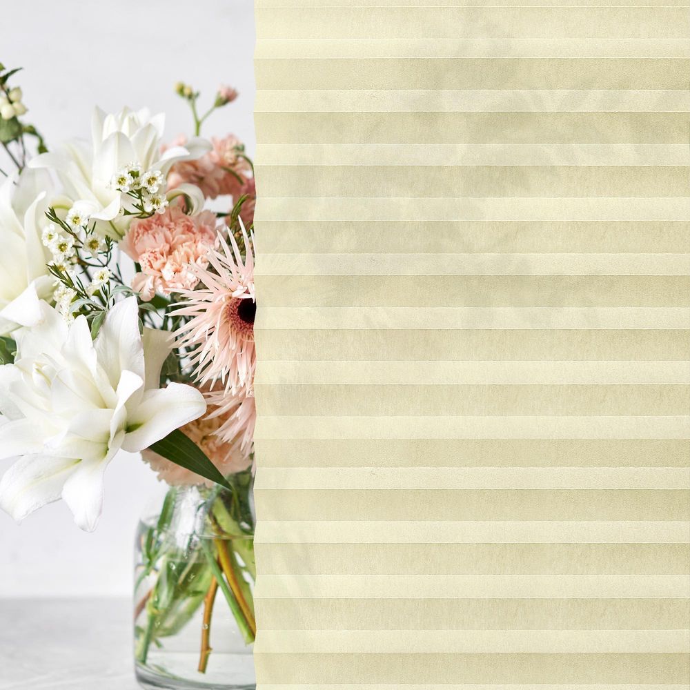 JALOUSIESCOUT Pure Plissee, Basic, Polyester-Stoff, 70 x 140 cm, grau ohne Bohren, Lichtdurchlässig, Diagonale Verspannung