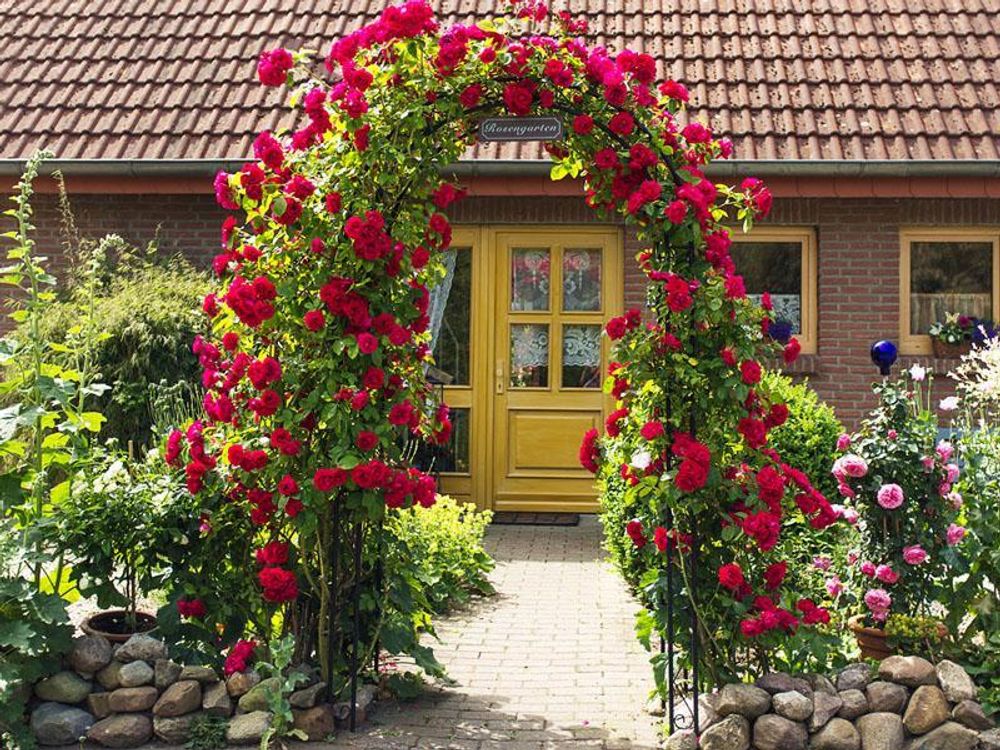 Speed Rosenbogen 240x140x38cm Metall Pergola Rankhilfe Rankgitter Torbogen /Schwarz
