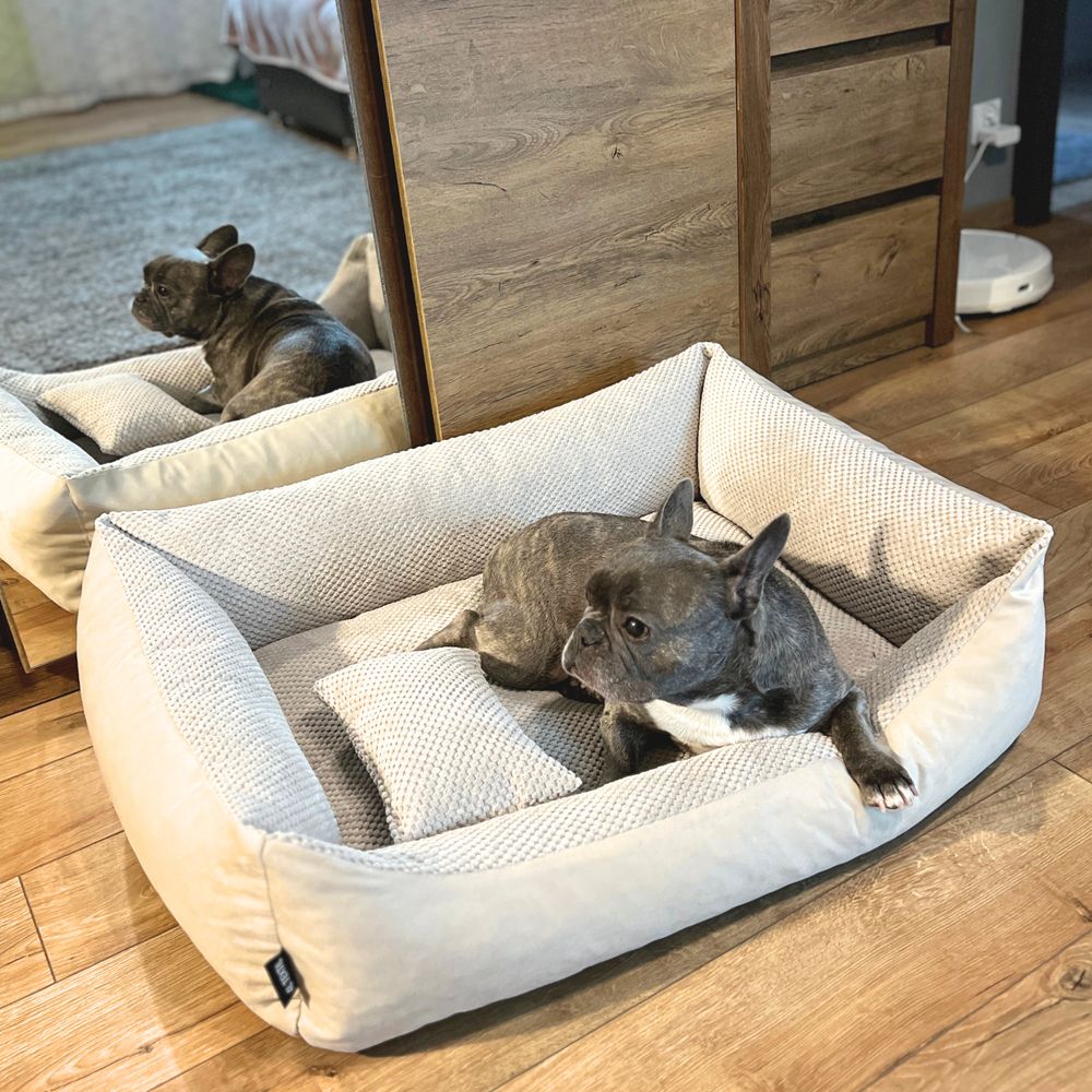 4L Textil TEO Hundekorb mittelgroße Hunde Kuscheliges Hundebett mit Bezug Hundekissen flauschig Hundekörbchen Hundesofa (100x80 cm, Beige)