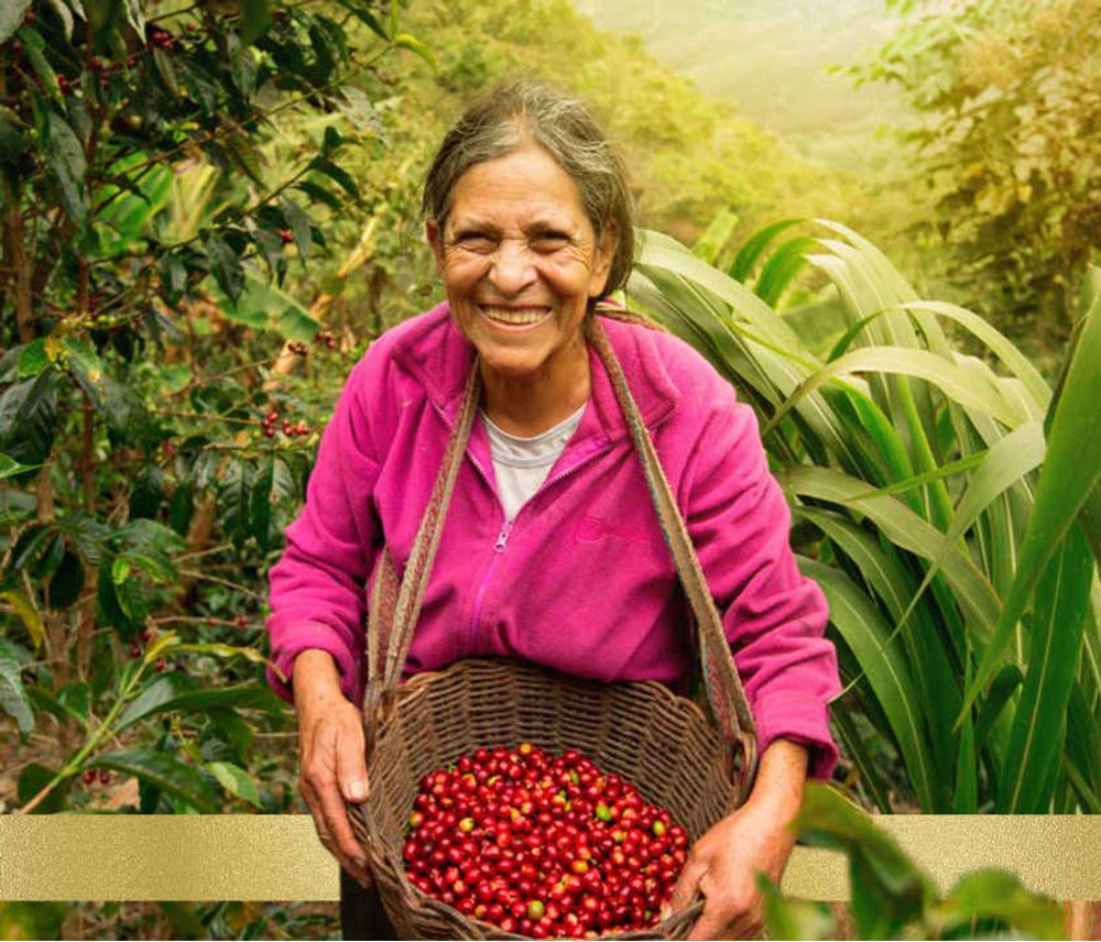 JACOBS Kaffeebohnen Origins Brazil geröste ganze Bohne 4x 1 kg Bohnenkaffee