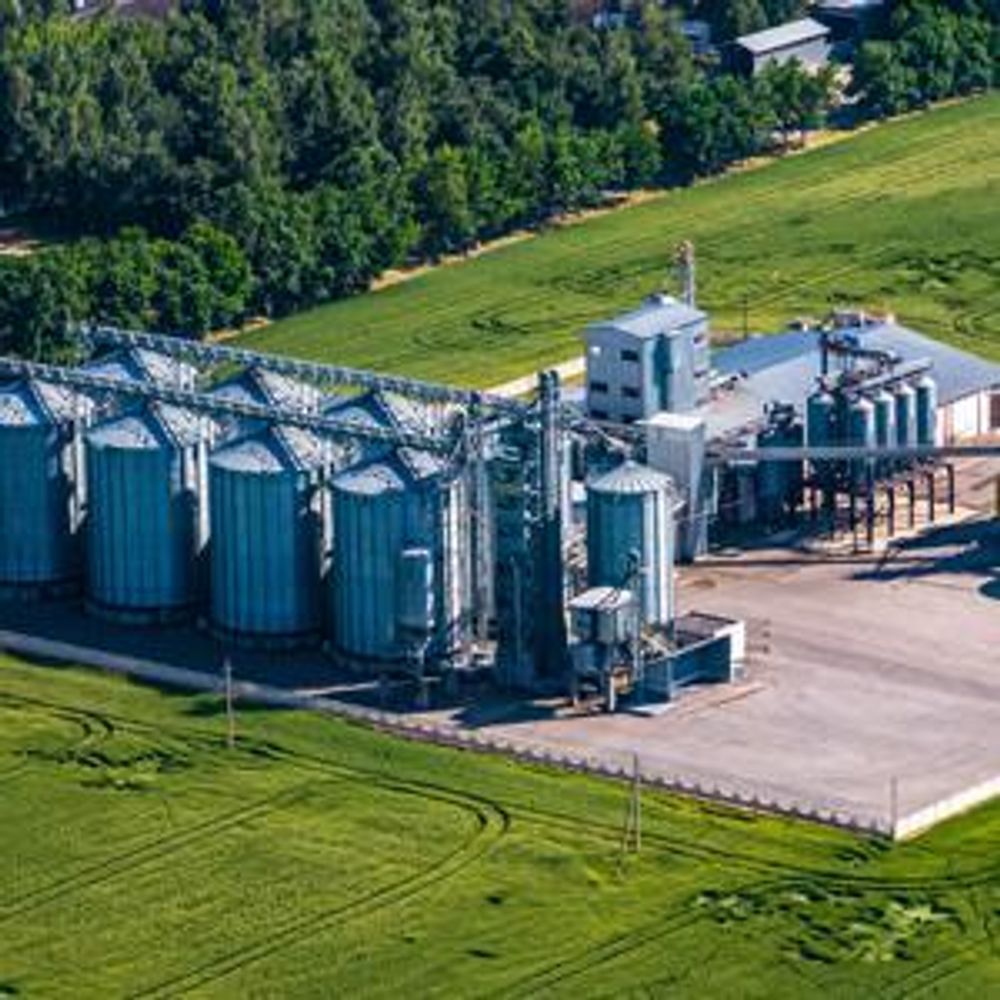 5 kg Rasensamen trockenresistent dürreresistent für Trockenrasen & Schattenrasen Samen Grassamen schnellkeimend, 200m², ideal für Neuansaat und Nachsaat, Rasensaat Grassamen