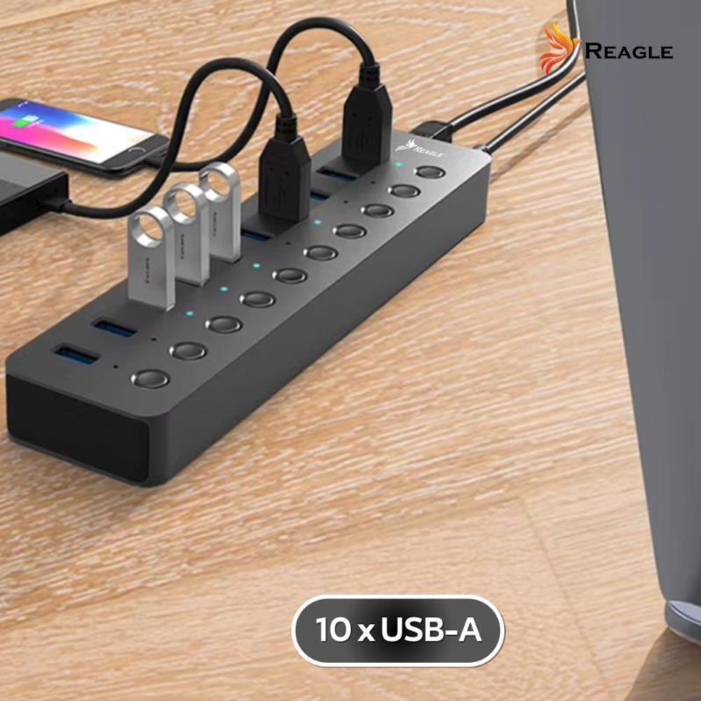 Reagle USB 3.1 PRO Aktiver 10-Port USB-A Adapter 36W