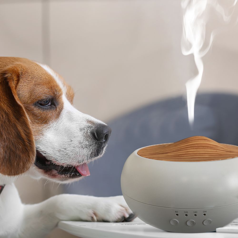 Luftbefeuchter Diffuser 250ml Aroma Ultraschall Aroma Diffuser für Duftöle Aromatherapie Öle Diffusor für Büro Spa Zuhause Yoga Schlafzimmer Retoo