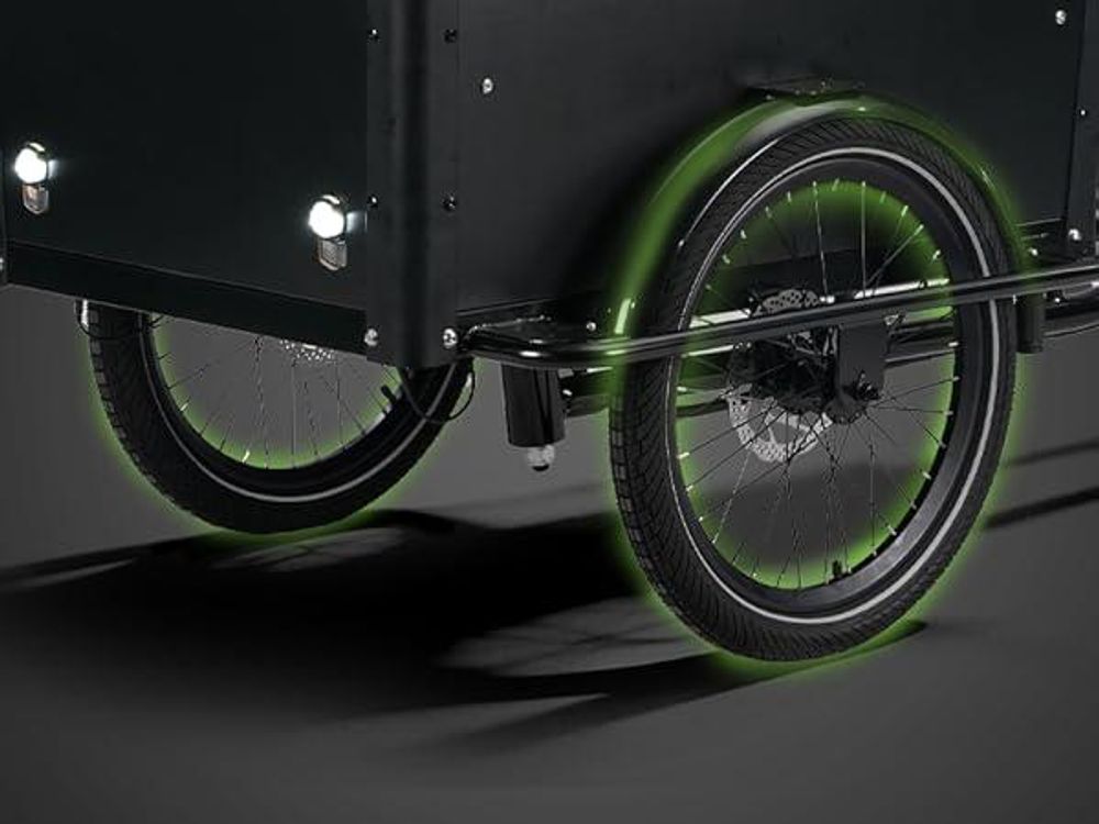 SachsenRAD E-Lastenrad T1, Flexible Transportbox mit Versteckter, LCD Display und StVZO-Zugelassung für Kindertransport, Shimano 7-Gang-Schaltung