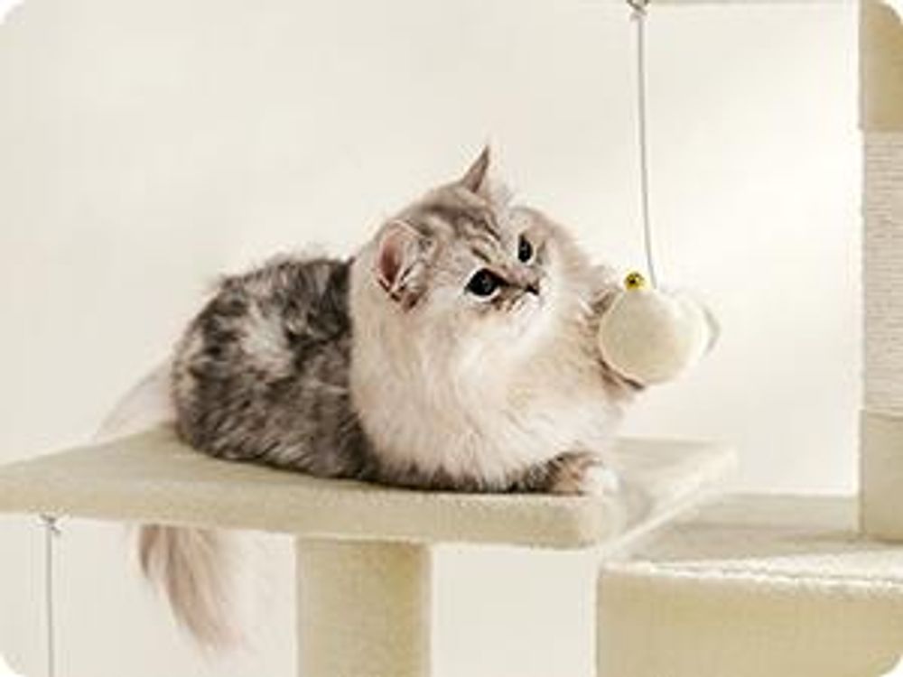 FEANDREA Kratzbaum, 143 cm, Katzenbaum mit Hängematte, beige PCT161M01