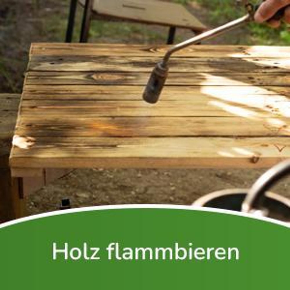 Fepro® Gasbrenner Abflammgerät 58kW mit 4,5m Schlauch & Druckminderer – Unkrautvernichter, Anzünder, Bitumenbahnen Schweißen