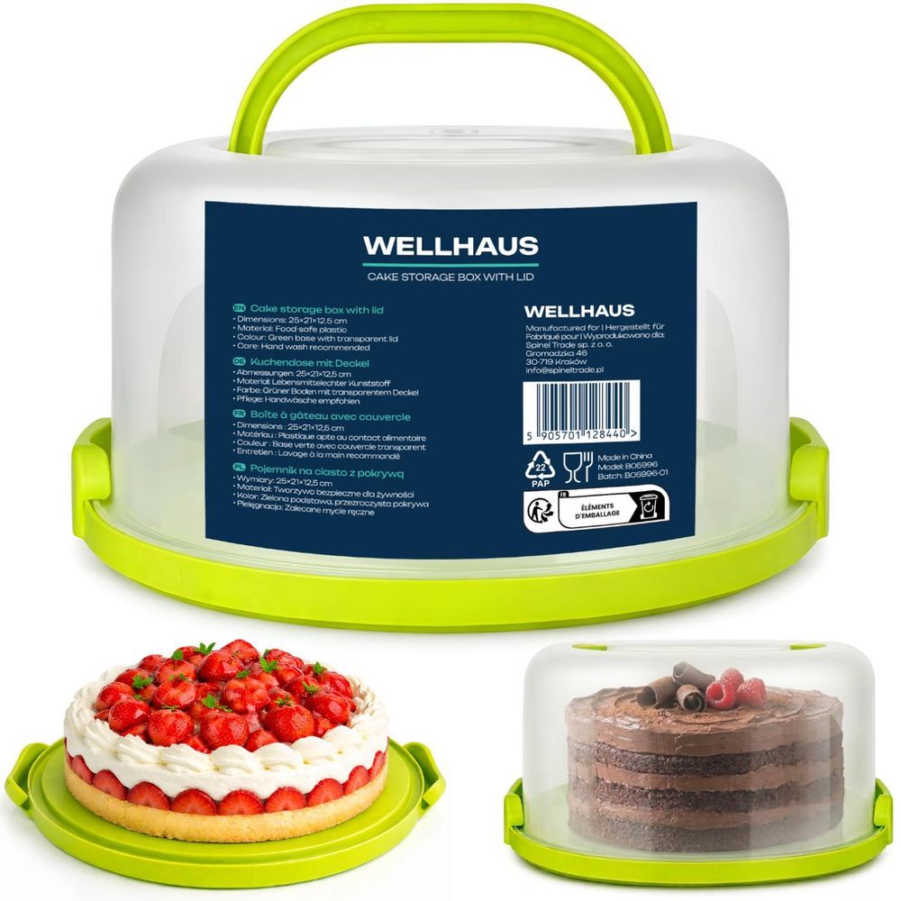WELLHAUS Kuchenbehälter Grün 25x21x12,5 cm – Transportbox mit Deckel