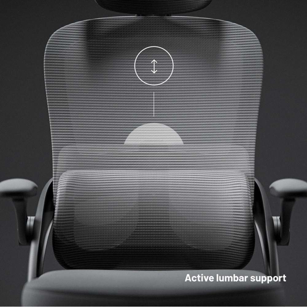 Diablo V-Light Bürostuhl Ergonomisch Schreibtischstuhl 3D Armlehnen Integrierte Lendenwirbelstütze Belastbar bis 110 kg Grau