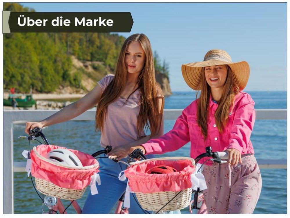 Goetze Mood 26", Stadtrad, Erwachsene, Weiblich, Senkrecht, 43,2 cm (17"), Stahl