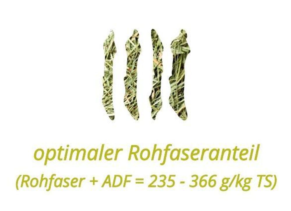 HEU-HEINRICH® Bio-Kräuterheu 6 kg – staubarm, 1. Schnitt – für Kaninchen, Hamster & Meerschweinchen (DE-ÖKO-034)