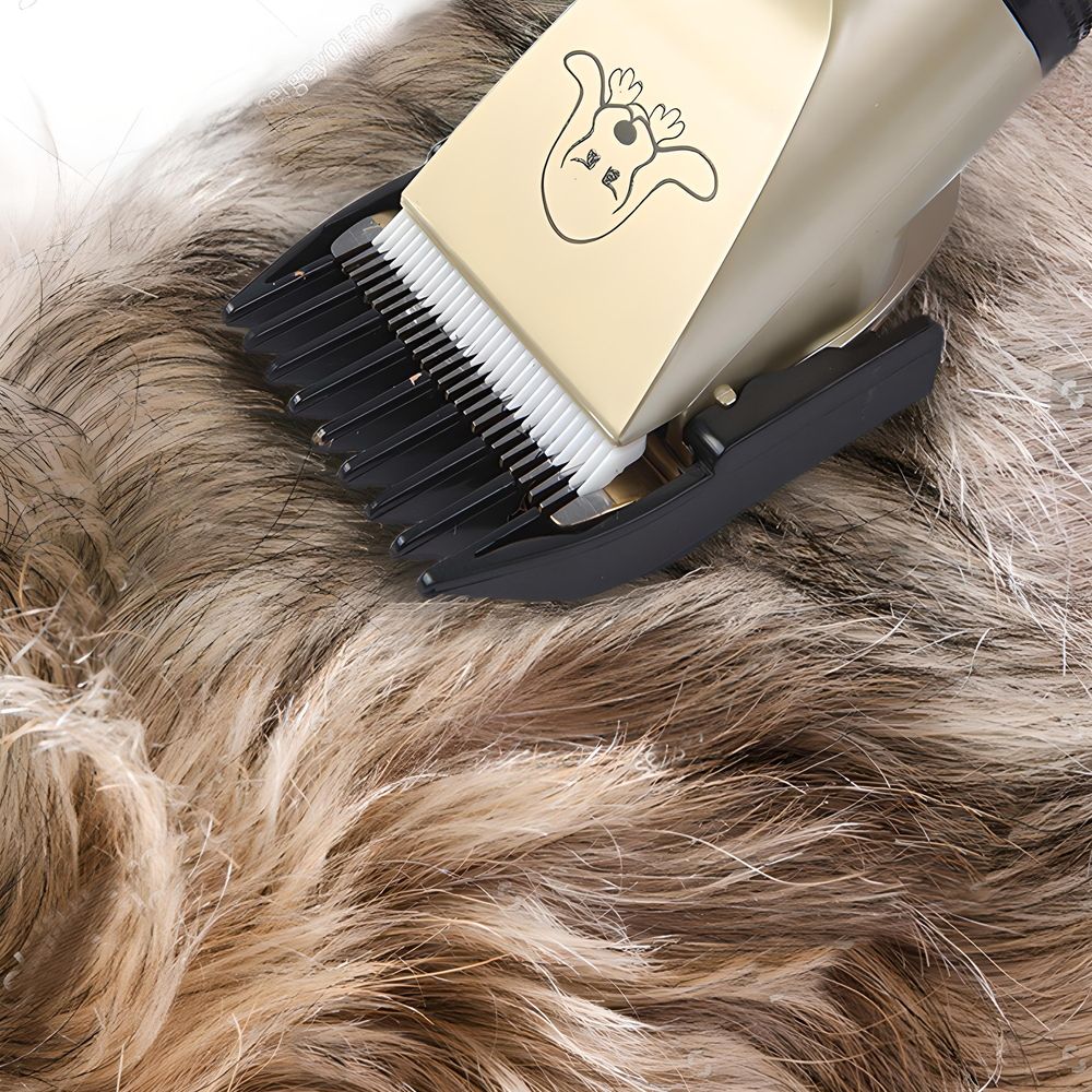 Profi Tierhaarschneider Set | 5 Längenstufe | Kabellose & Leise Hundeschermaschine mit LED-Anzeige, für Hunde & Katzen, Pfoten, Körper, Gesicht, Retoo