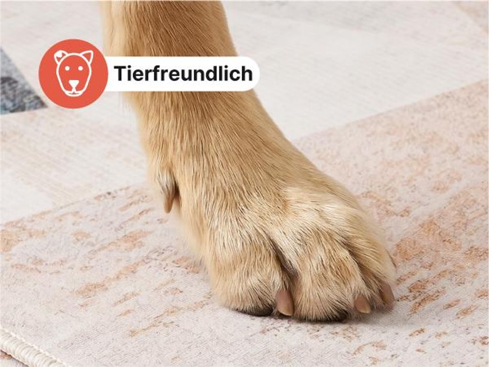 Tapiso NORA Teppich Kurzflor, rutschfest & pflegeleicht, Wohnzimmer & Schlafzimmer 140 x 200 cm