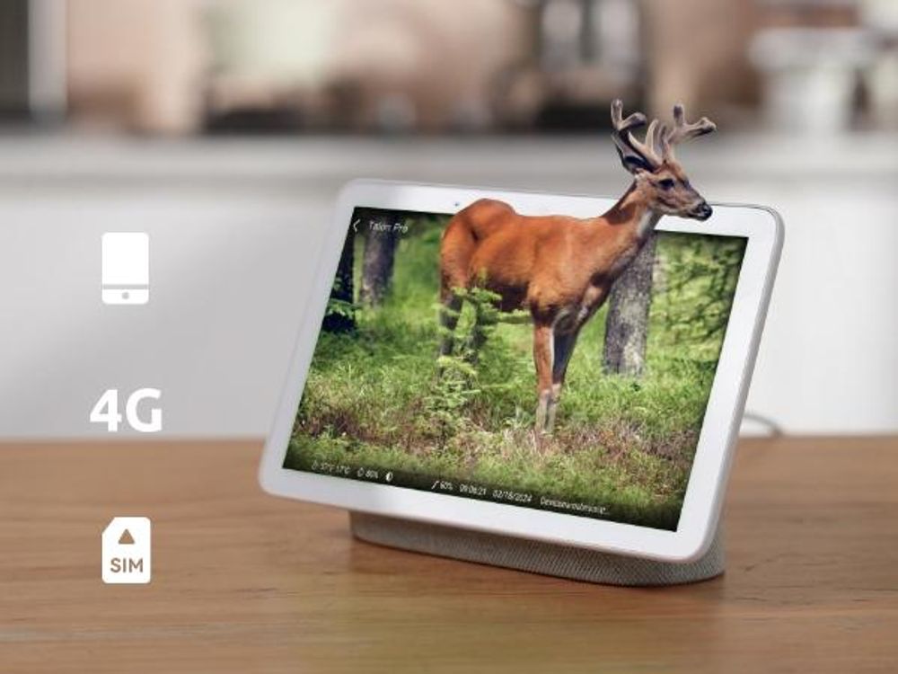 Reolink Camovue Talon Pro, 4K 8MP 4G LTE Akku Überwachungskamera für den Außenbereich, SIM-Karte, Starlight-Nachtsicht, Tierarterkennung