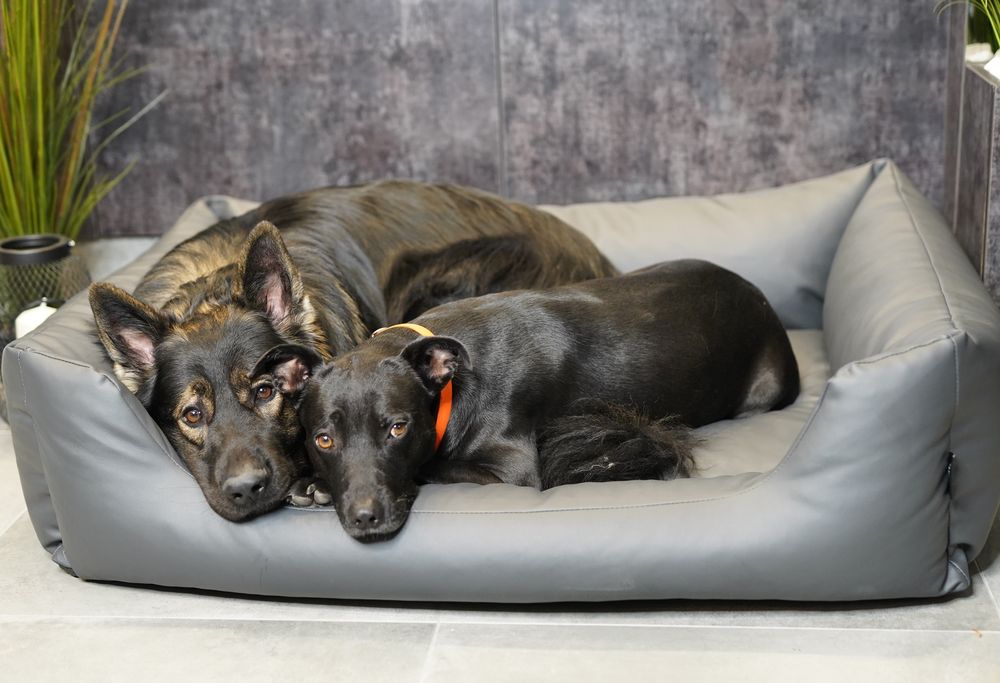 4L Textil Mario Orthopädisches Hundebett aus Kunstleder Grau 120x90 cm Memory Foam Robust Kratzfest Für Große Hunde