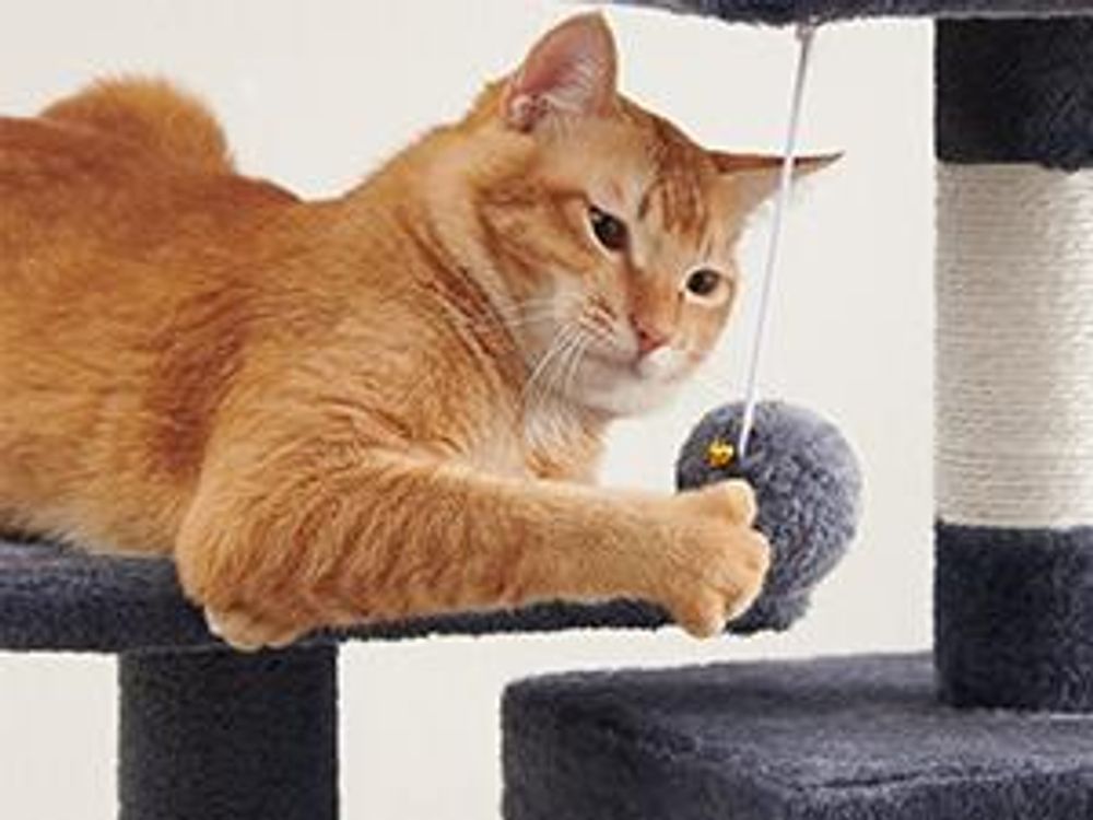FEANDREA Kratzbaum, 112 cm, Katzenbaum mit Hängematte, mehrstöckiges Katzenhaus, Rauchgrau