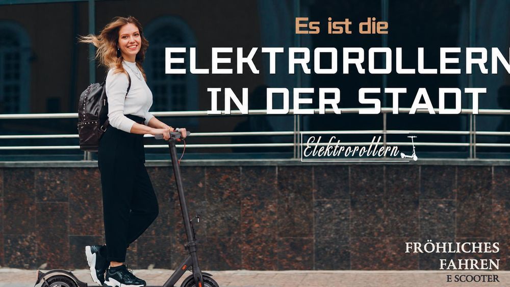 Draixcor E9T E-Scooter mit Straßenzulassung ABE, 10 Zoll Wabenreifen, 500W, 20 km/h, App, LED-Display, faltbar, Scheibenbremse, Doppelfederung, 120 kg