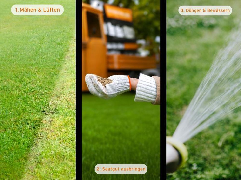 FUXTEC Rasensamen Nachsaat FX-RSNR1 | 1kg für 30m² | schnellkeimende Grasmischung | Rasenreparatur Frühjahr bis Herbst | Germany