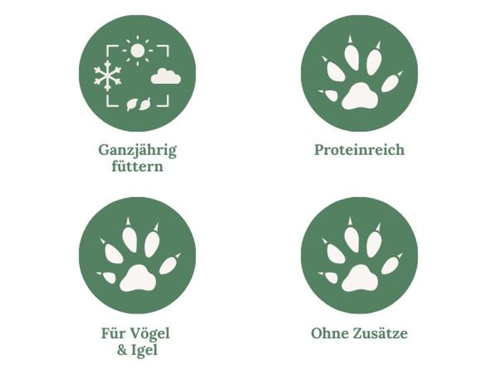 Stichpunkte und Icons