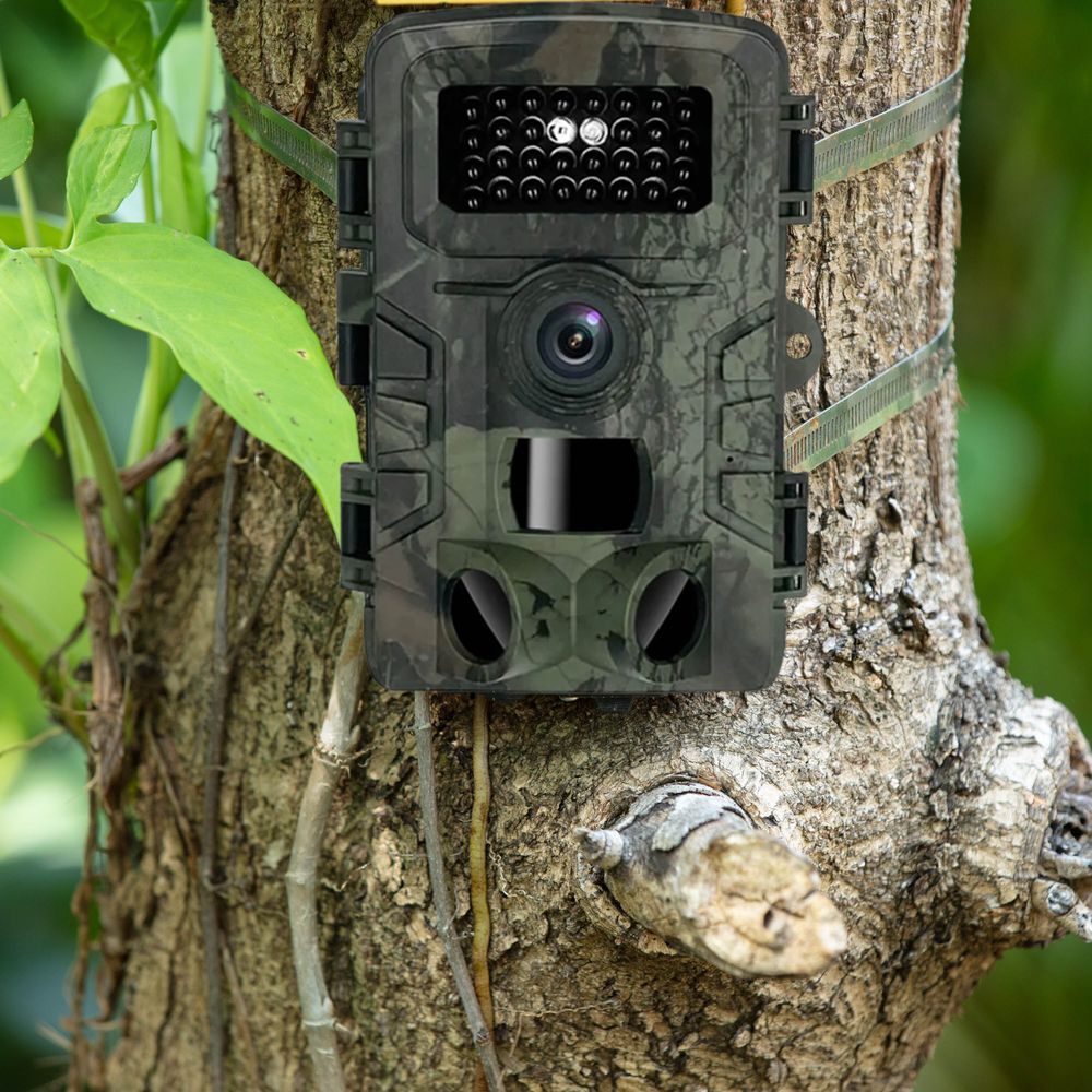 Outdoor Überwachungskameras Wildkamera Bewegungsaktivierte Bewegungsmelder Wildlife Kamera Nachtsicht Wasserdichte IP66 1080P Trail Hunting Retoo