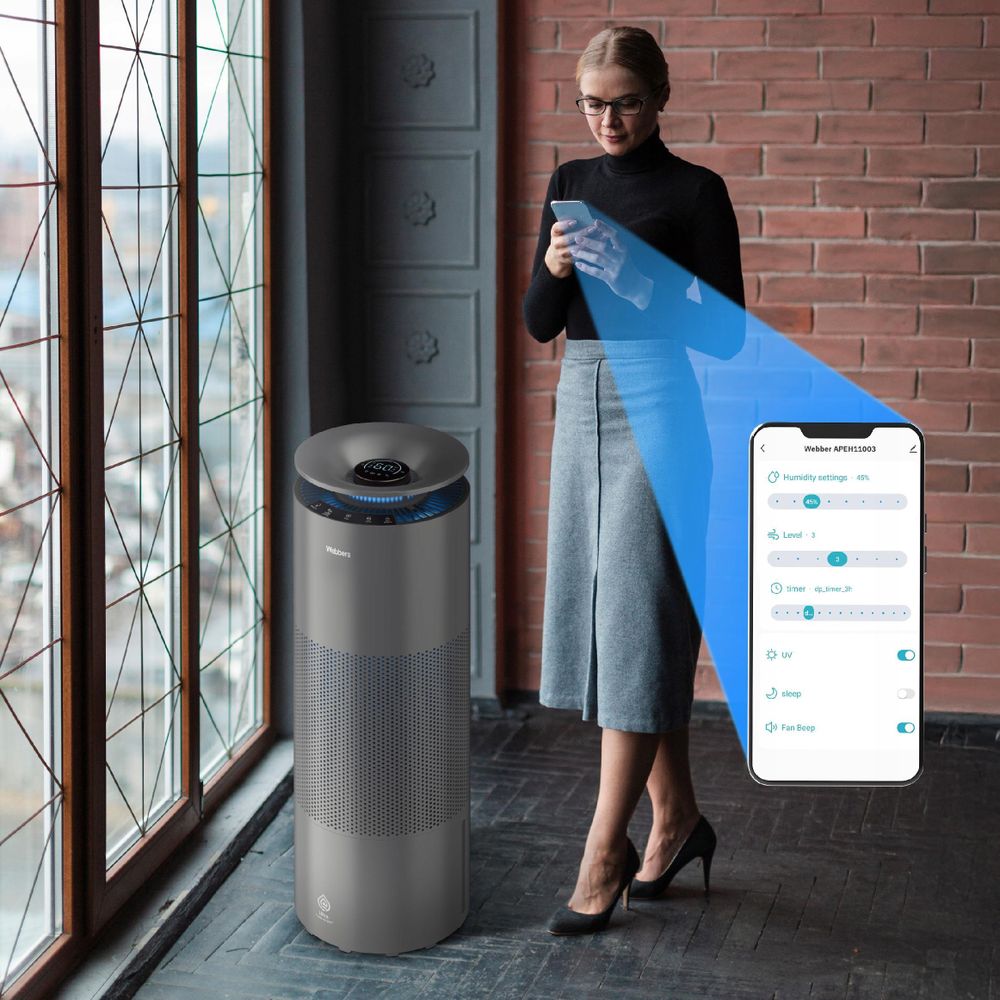 WiFi App und Fernbedienung des Webber EH9004