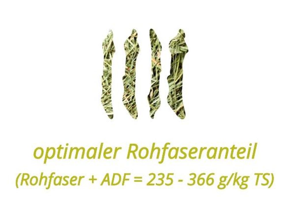 HEU-HEINRICH® Bio-Kräuterheu 1 kg – staubarm, 1. Schnitt – für Kaninchen, Hamster & Meerschweinchen (DE-ÖKO-034)
