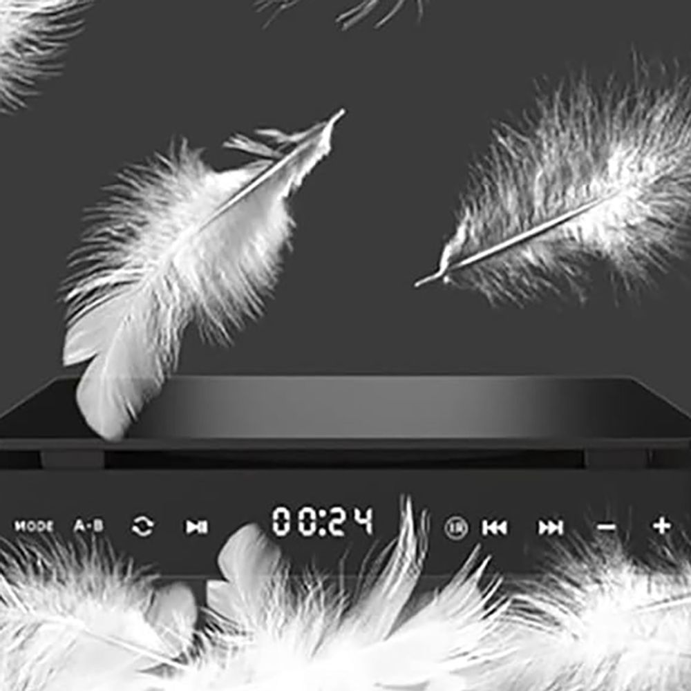 ZELURXX HD DVD-Player, VCD, tragbarer Videoplayer, Multifunktionsplayer, 1080P, Anti-Skip, mit Fernbedienung, Schwarz