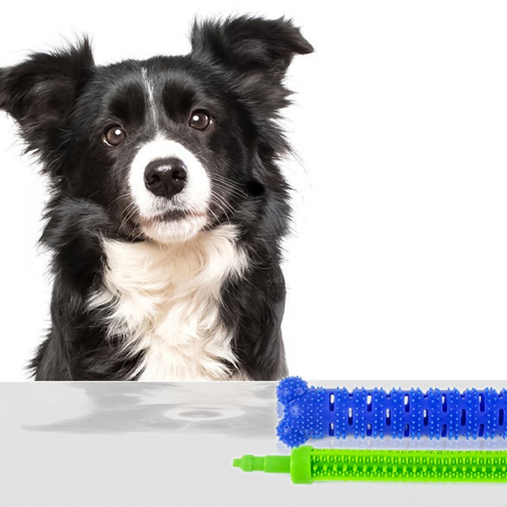 Hundespielzeug Kauspielzeug für Haustier Große Kleine Hunde Spielzeug Knochen Geformt Zahnreinigung Zahnpflege Hundezahnbürste Kauen Zahn 23cm Retoo