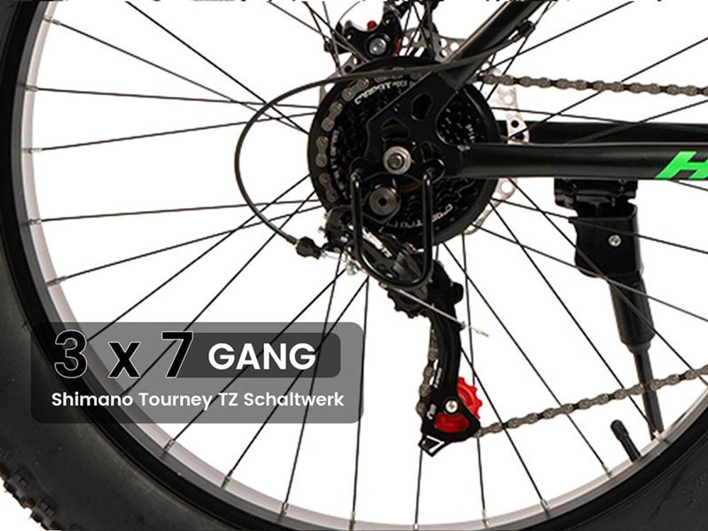 21 Gang Schaltwerk