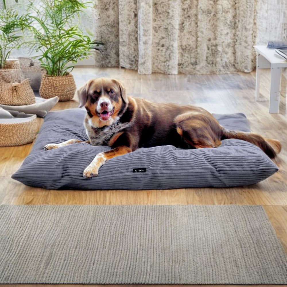 4L Textil MOLLY Hundekissen Cord Grau Hundebett Cord Grosse Hunde kuscheliges Hundekissen waschbar mit Bezug (100x80 cm, Graphit (Stripes)