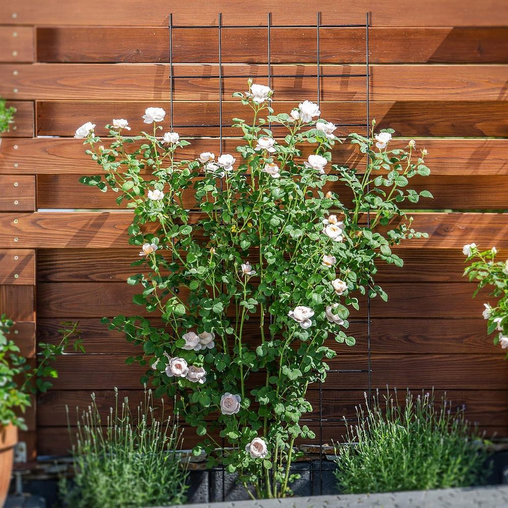 KADAX Rankgitter, Rankhilfe aus Stahl, Wandgitter für Pflanzen, Garten, Balkon, Terrasse, Drahtgitte
