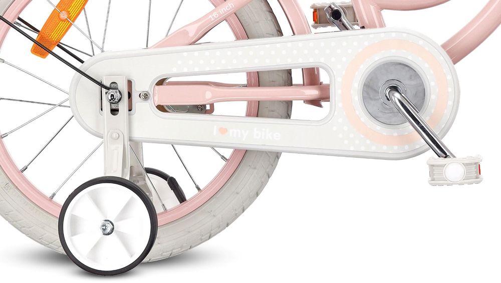 Ruedines y protección de cadena en la rueda trasera de la bicicleta.