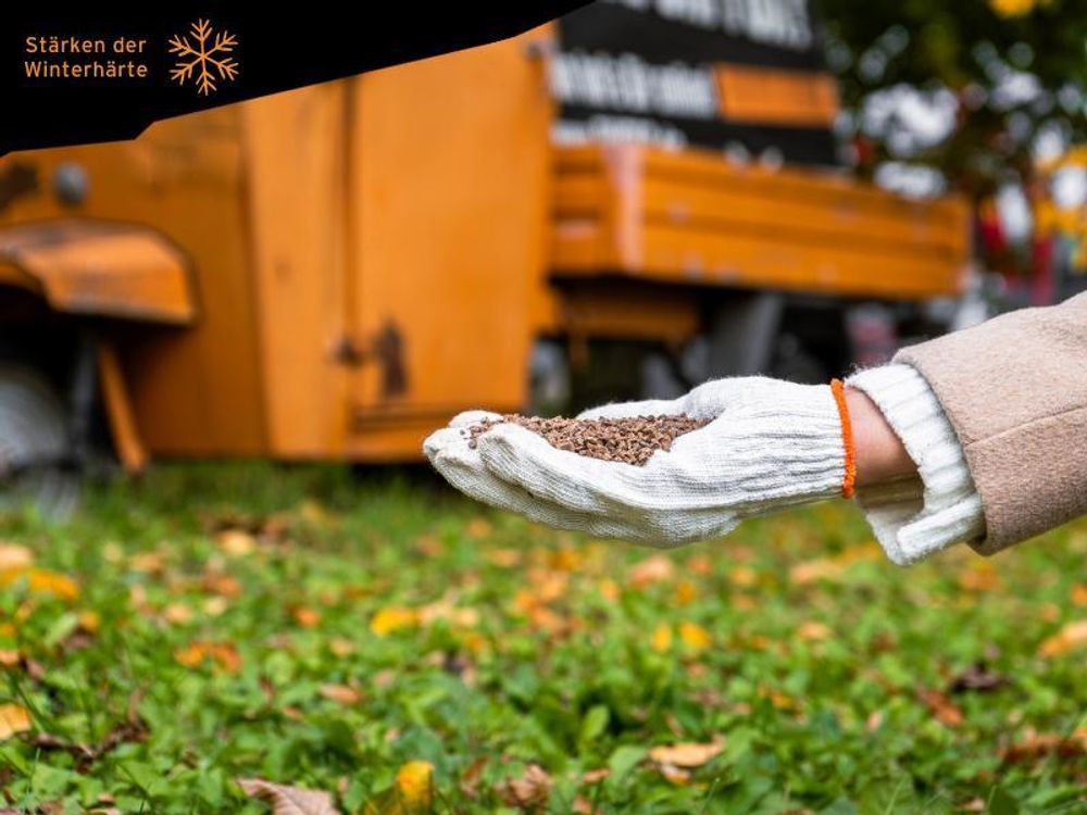 FUXTEC Herbstrasendünger FX-RDH5 | Kaliumdünger für ca. 250 m² | 5 kg Granulat für Herbstpflege | Frosthärte & widerstandsfähiger Rasen