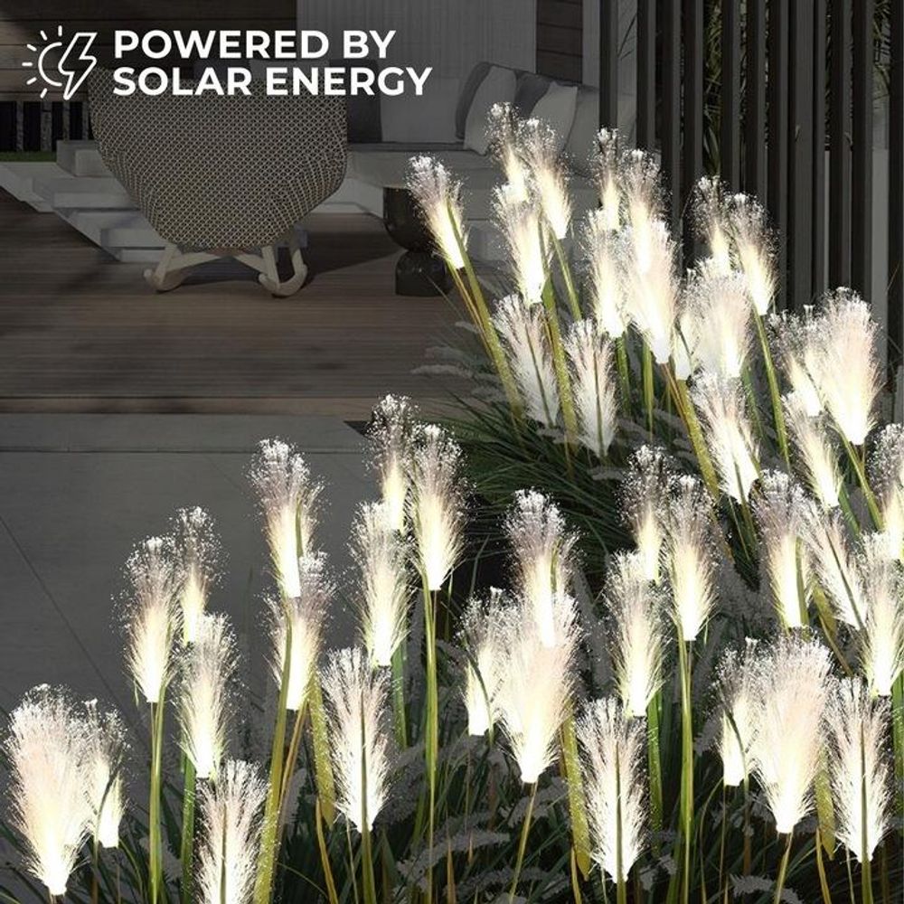 FOREVER Light LED SUNARI luci solari per esterni, erba decorativa, erba della pampa, 1 pezzo, 100 cm, luci solari impermeabili per giardino, luci paesaggistiche per cortile, giardino, patio