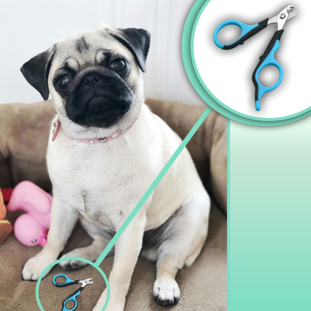 Pfotensichere Hunde, Krallenschere Katzen, Krallenschneider, Krallenzange, Nagelfeile, Retoo