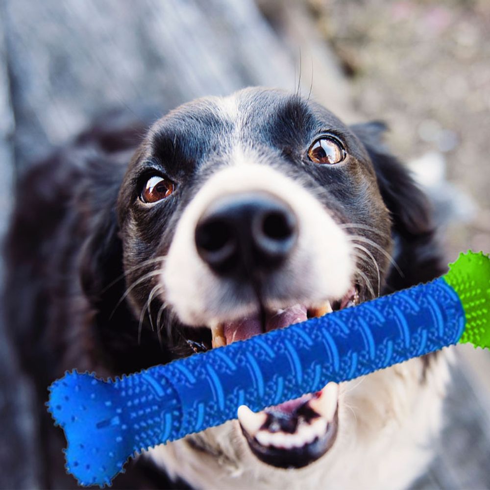 Hundespielzeug Kauspielzeug für Haustier Große Kleine Hunde Spielzeug Knochen Geformt Zahnreinigung Zahnpflege Hundezahnbürste Kauen Zahn 23cm Retoo