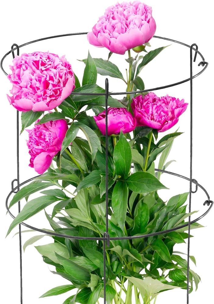 KADAX Blumen- und Pflanzenstütze, 60 cm, Gartenring, Stütze aus Stahl, stark