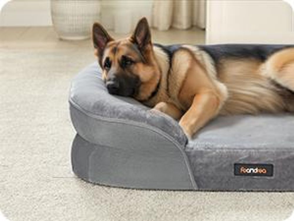 Feandrea Hundebett, Hundekissen, wasserdichte Innenschicht, erhöhte Ränder, abnehmbarer