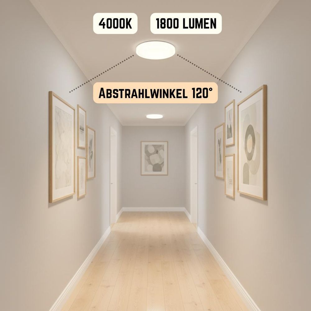 Illustration der technischen Merkmale der Deckenleuchte