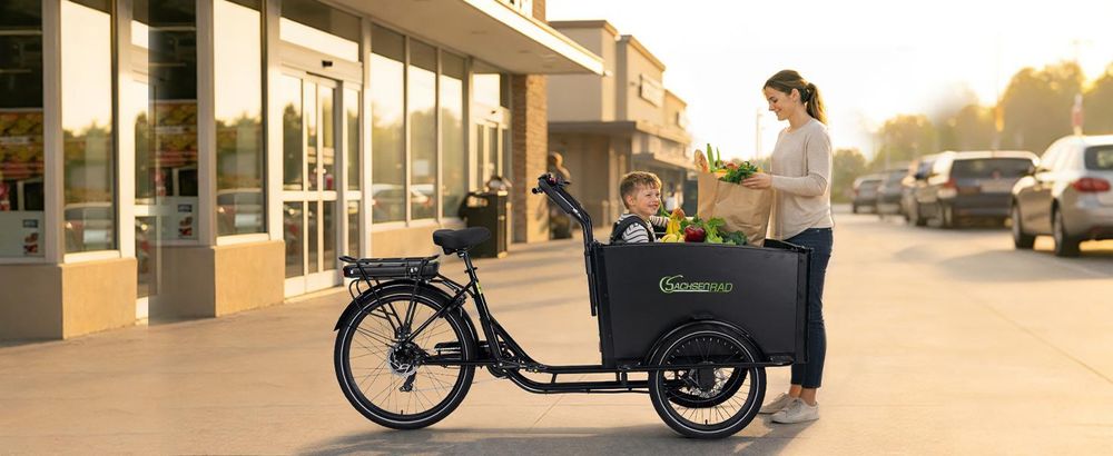 SachsenRAD E-Lastenrad T1, Flexible Transportbox mit Versteckter, LCD Display und StVZO-Zugelassung für Kindertransport, Shimano 7-Gang-Schaltung