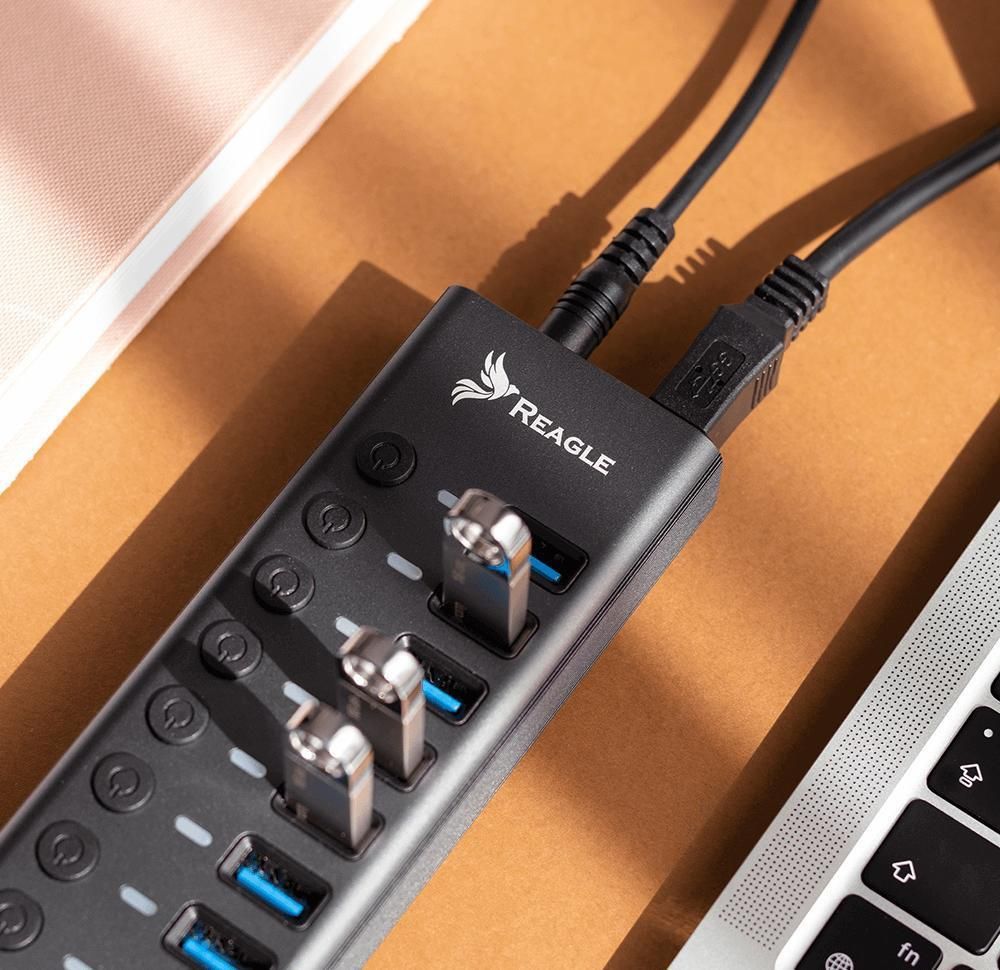 Reagle USB 3.1 PRO Aktiver 10-Port USB-A Adapter 36W