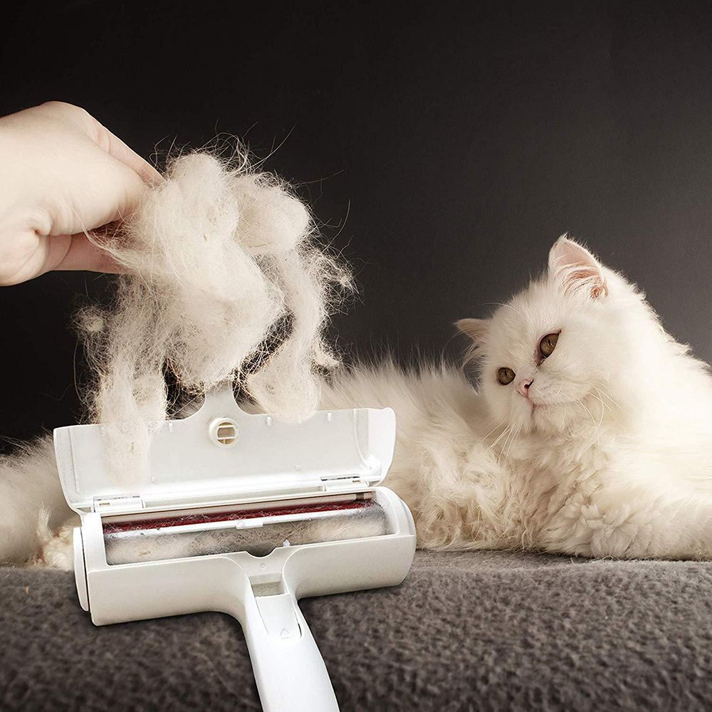 Fusselbürste Fusselrolle Tierhaarentferner Kleidung Fusselrasierer Fusselentferner Tierfell Tragbarer Clothes Fuzz Shaver Tierhaar Remover Retoo